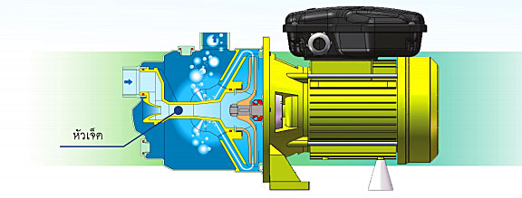Stainless Self-Priming Pump